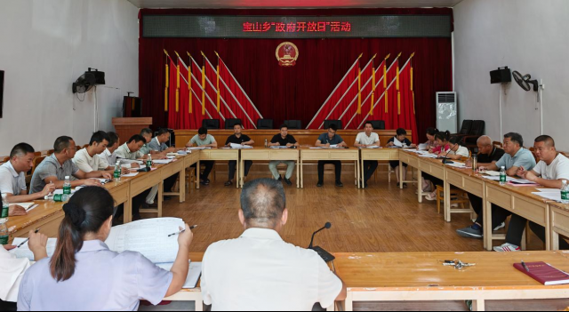 人民政府在社會經(jīng)濟(jì)咨詢服務(wù)中的角色與功能